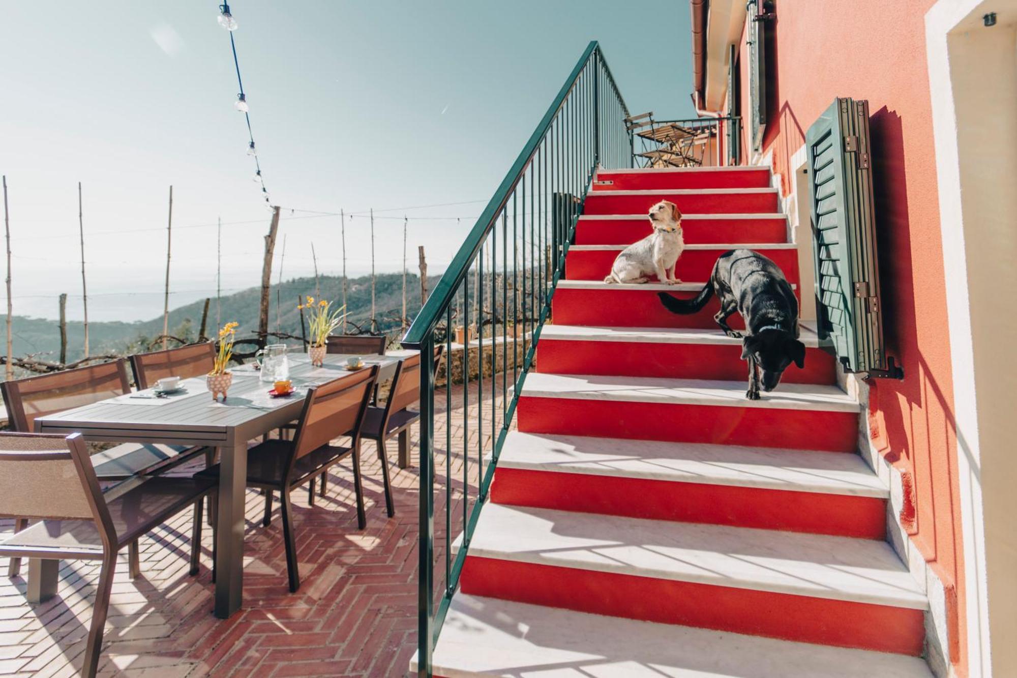 B&B La Volpe Moneglia Exterior foto